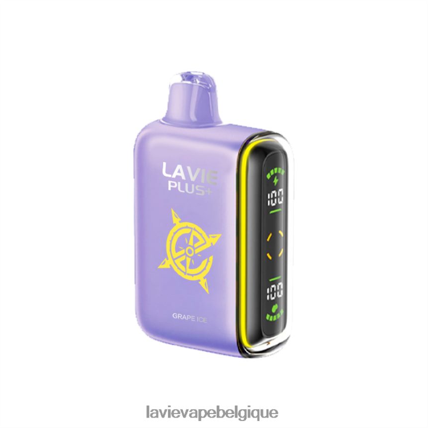 464068103 Lavie Puffs | glace aux raisins LAVIE PLUS 15000 bouffées